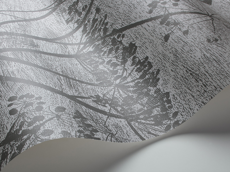 Cole And Son Cow Parsley Wallpaper - HD Wallpaper 