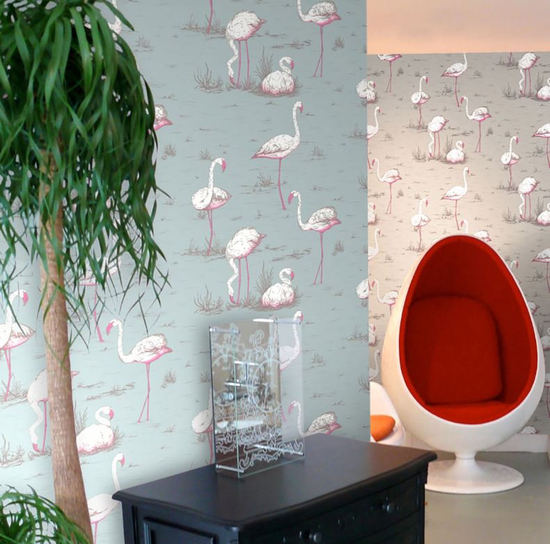 Cole And Son Flamingo - HD Wallpaper 