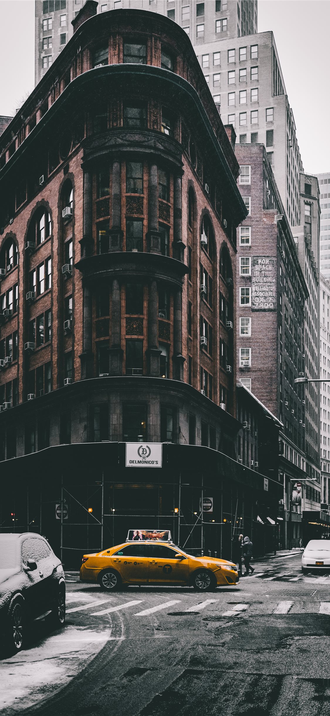 Best Friend Rex Orange County Lyrics - HD Wallpaper 