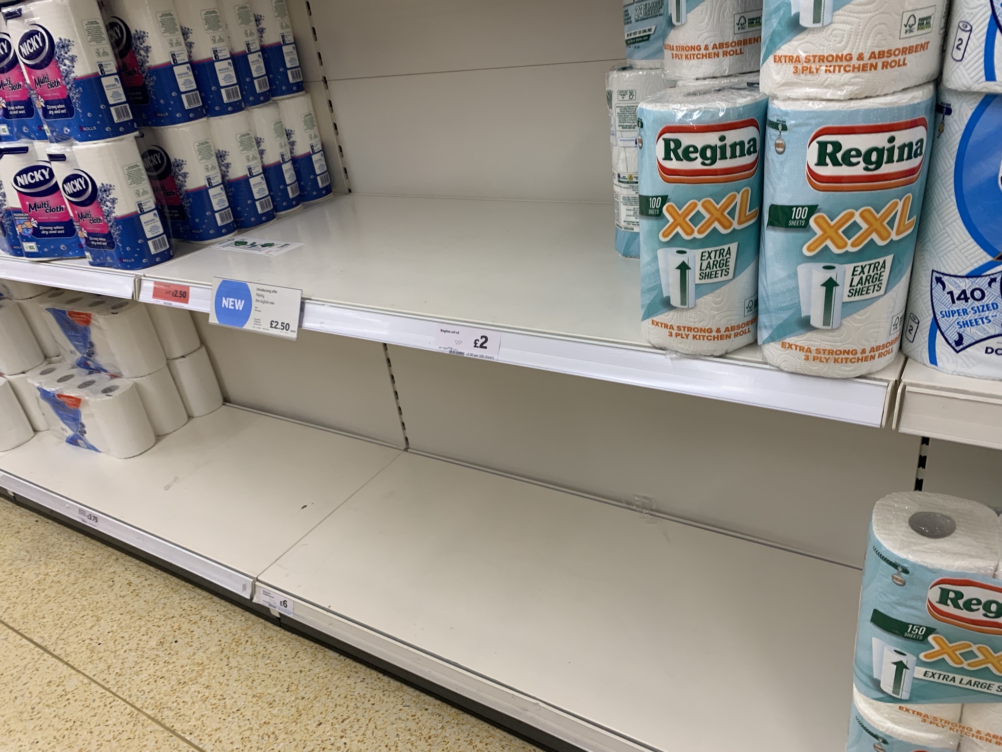 Regina - HD Wallpaper 