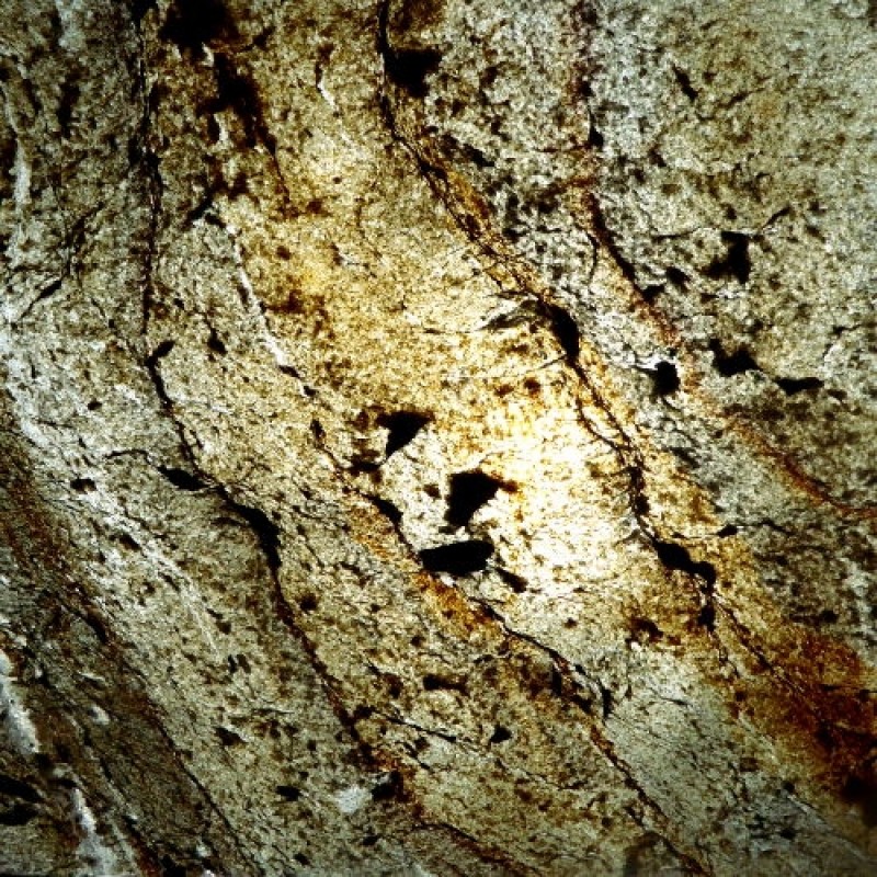 Macro Photography - HD Wallpaper 