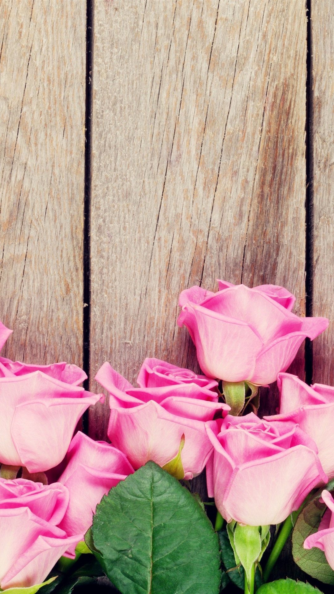 Iphone Wallpaper Pink Roses, Wood Background - Fondos Para Computadora ...