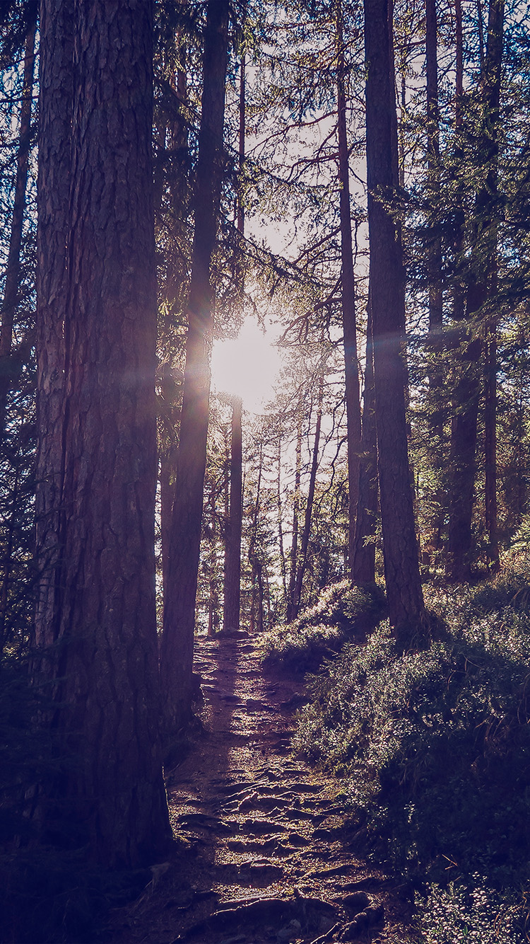 Com Apple Iphone7 Iphone7plus Wallpaper Nh10 Light - Photograph - HD Wallpaper 