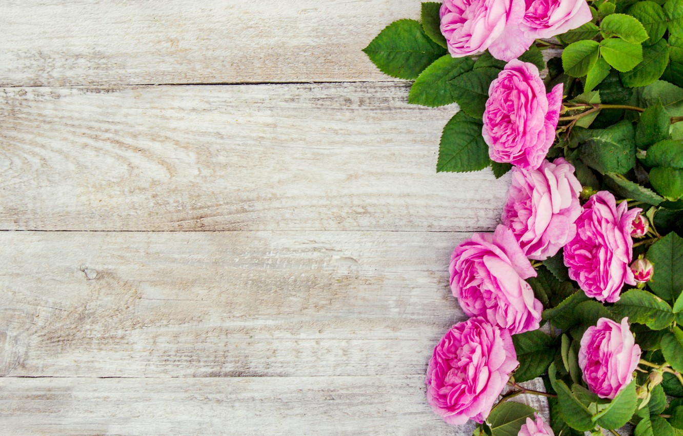 Photo Wallpaper Flowers, Roses, Petals, Pink, Wood, - Rose Flower Petals - HD Wallpaper 