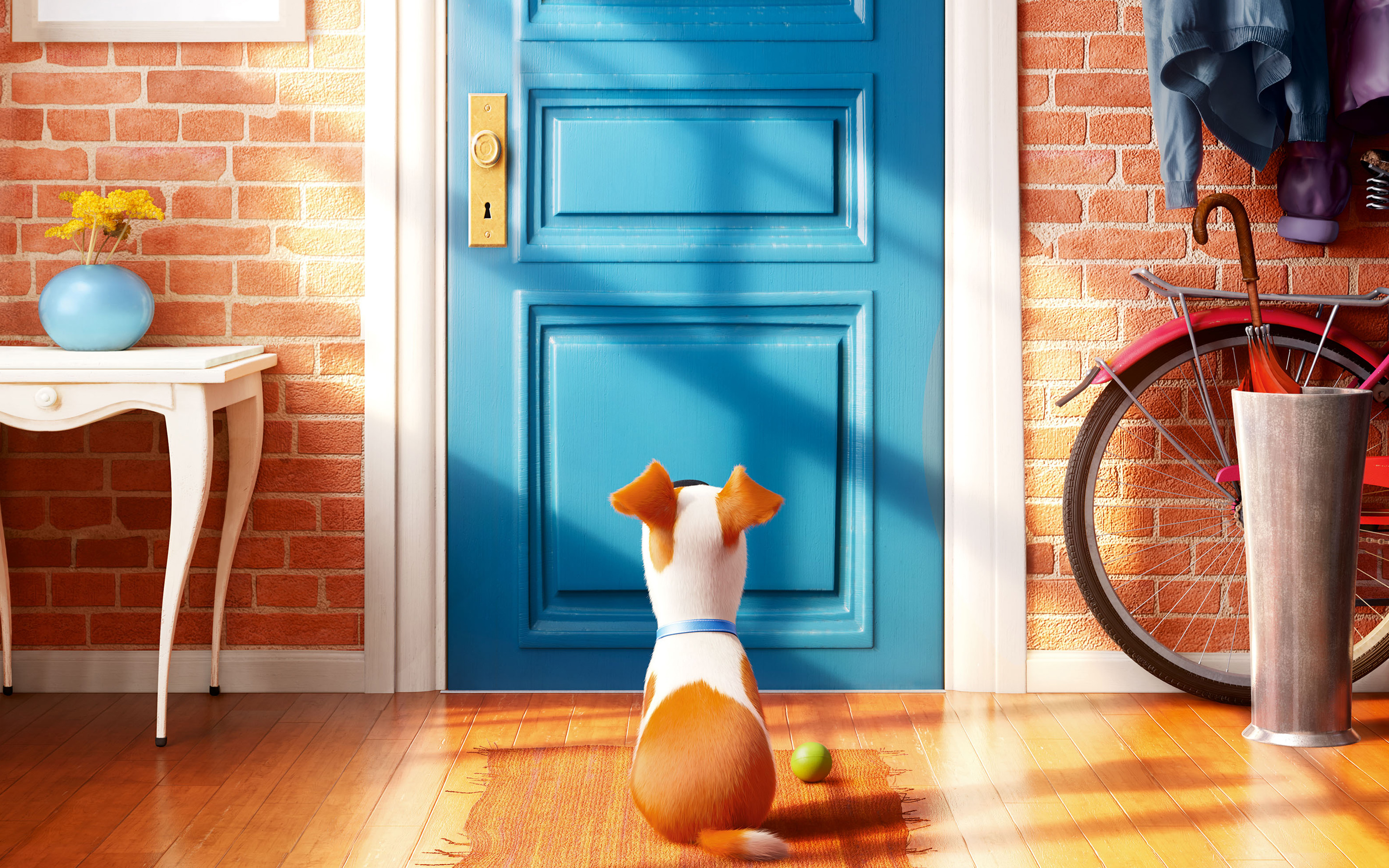 Secret Life Of Pets Door - HD Wallpaper 