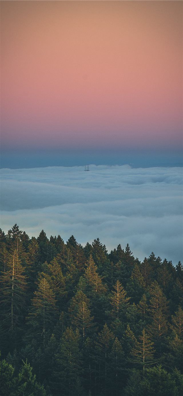 Iphone X Wallpaper Bright - HD Wallpaper 