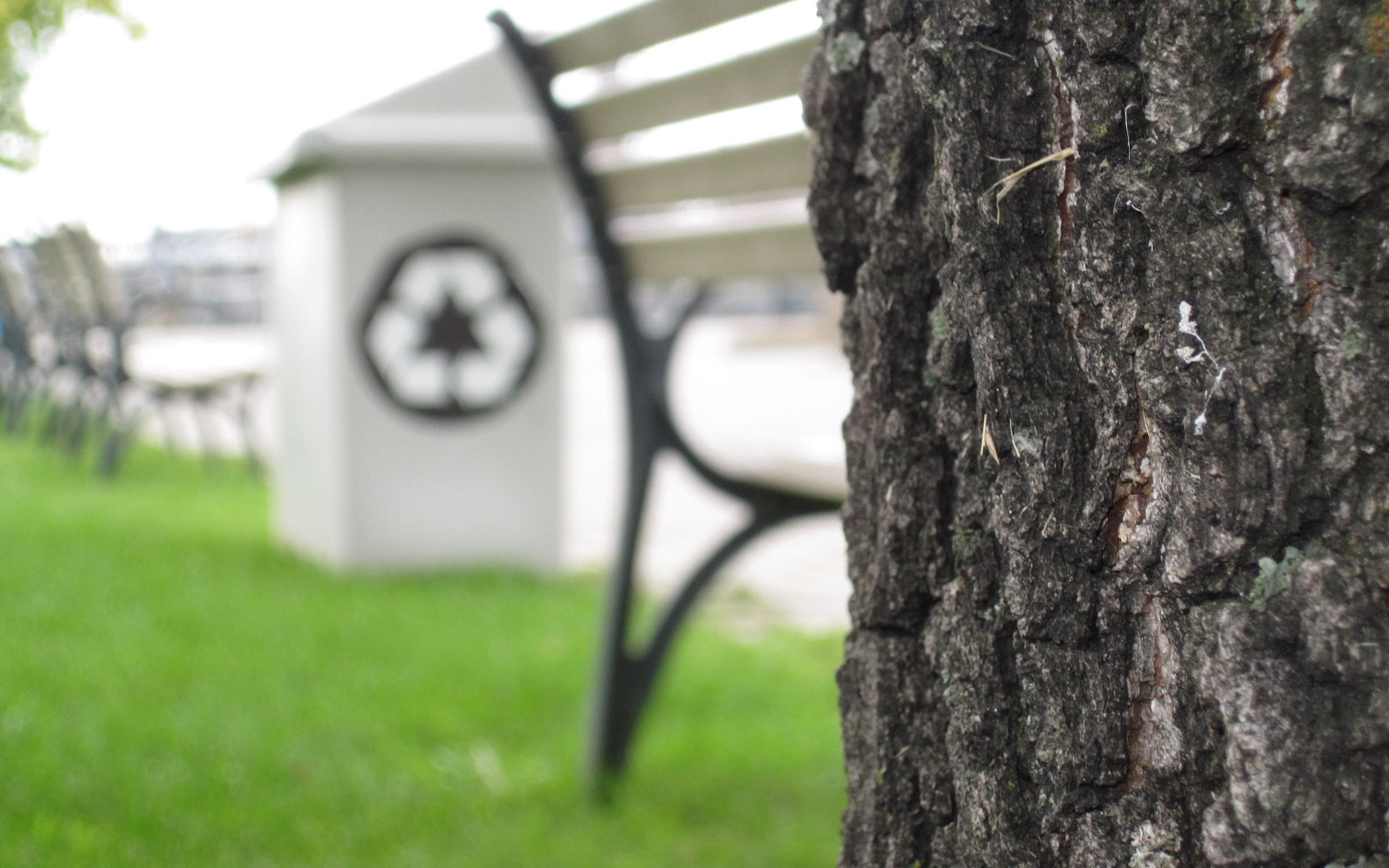 Grass - HD Wallpaper 