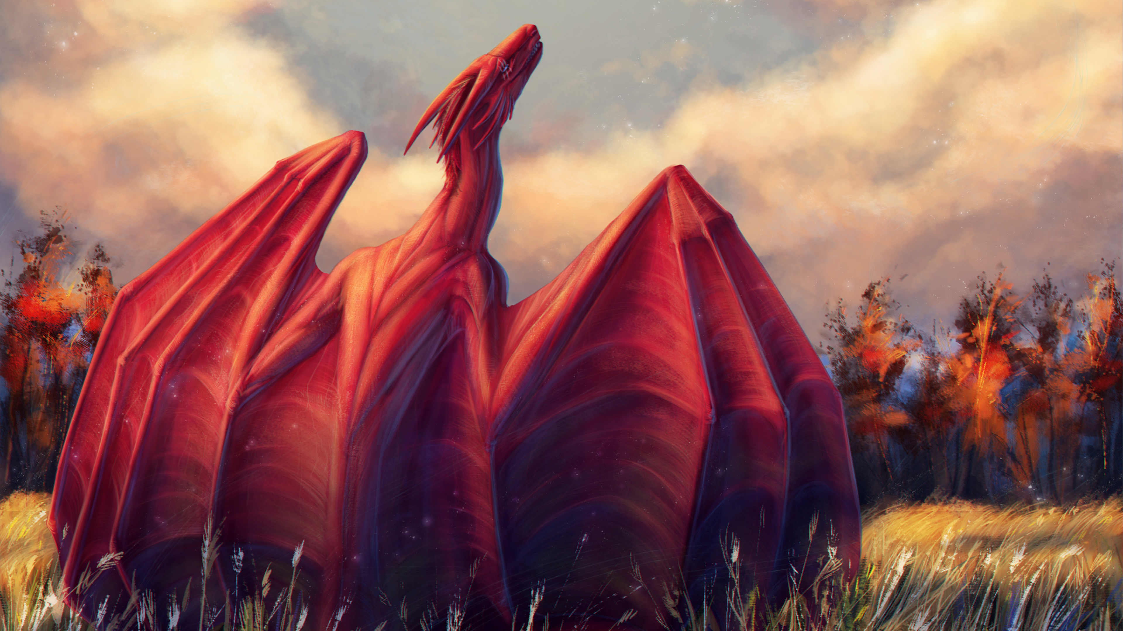 Wallpaper - HD Wallpaper 