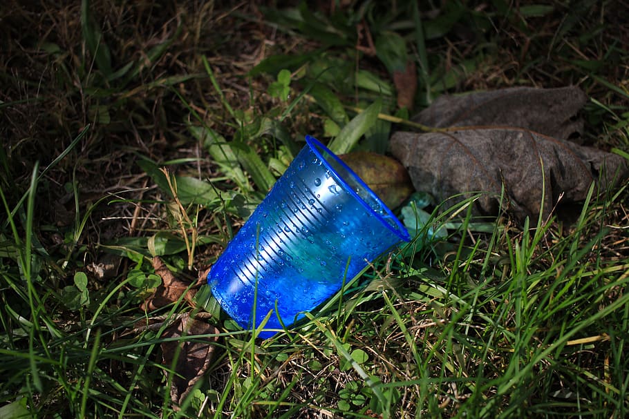 Cup, Blue, Plastic, Litter, Recycle, Nature, Grass, - HD Wallpaper 