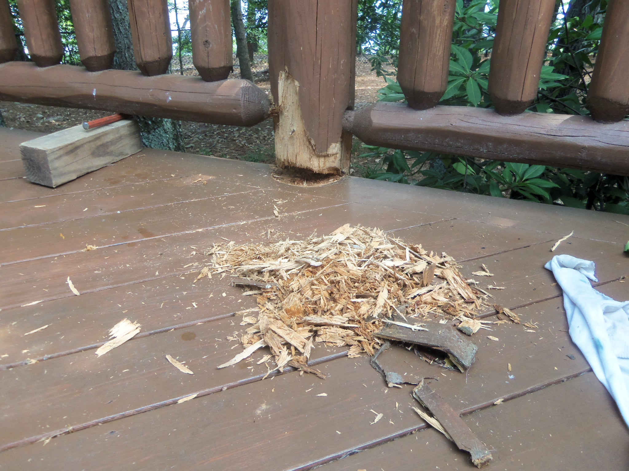 Lumber - HD Wallpaper 