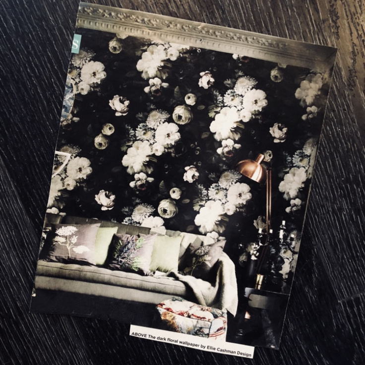 Ellie Cashman Floral Wallpaper - Studio Couch - HD Wallpaper 