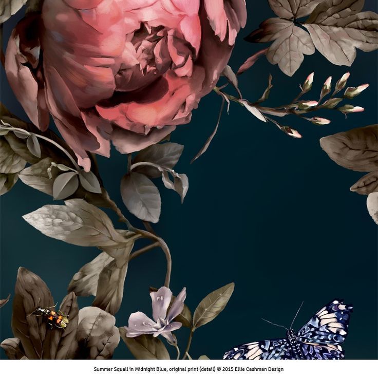 Wallpaper - HD Wallpaper 