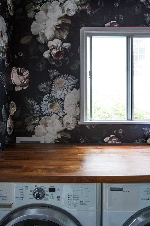 Floral Wallpaper For Laundry Room 640x960 Wallpaper teahub.io