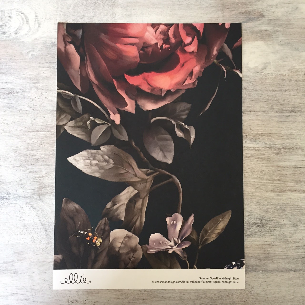 Garden Roses - HD Wallpaper 