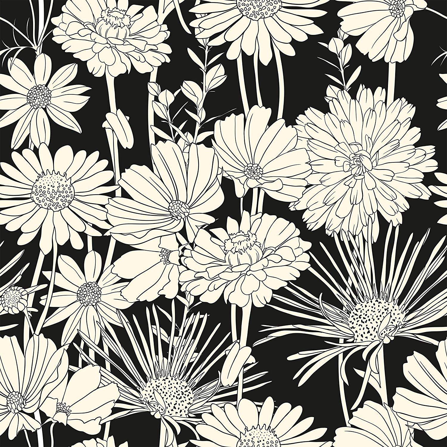 Black And White Floral - HD Wallpaper 