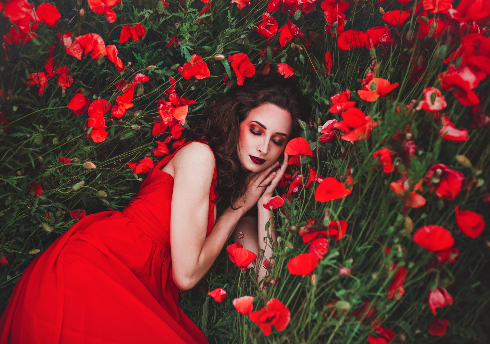 Black And Red Flower Wallpaper - HD Wallpaper 