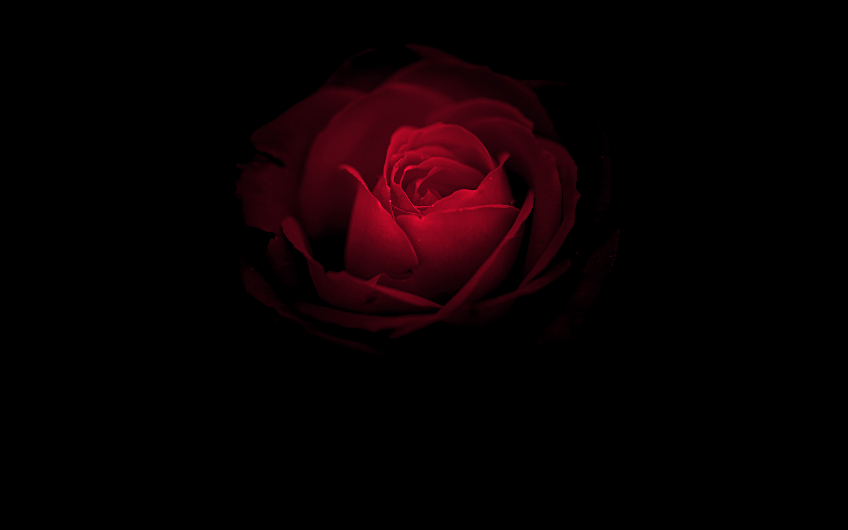 Huawei Mate 9 Rs Porsche Design 2880x1800 Wallpaper Teahub Io