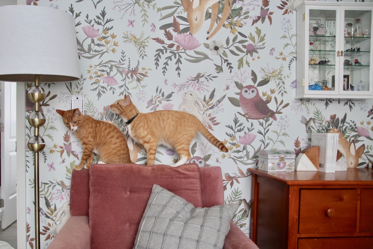 Anewall Oh Deer Mural Wallpaper From Lulu And Georgia - Tabby Cat - HD Wallpaper 