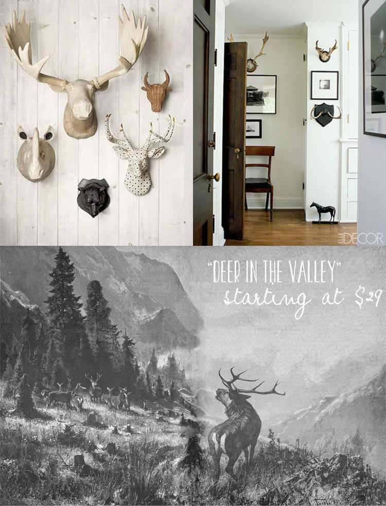 Fake Animal Trophy Heads - HD Wallpaper 