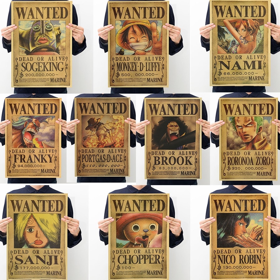 One Piece Wanted Poster - HD Wallpaper 