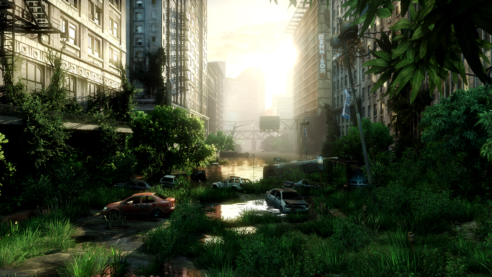 Beautiful - Last Of Us View - HD Wallpaper 