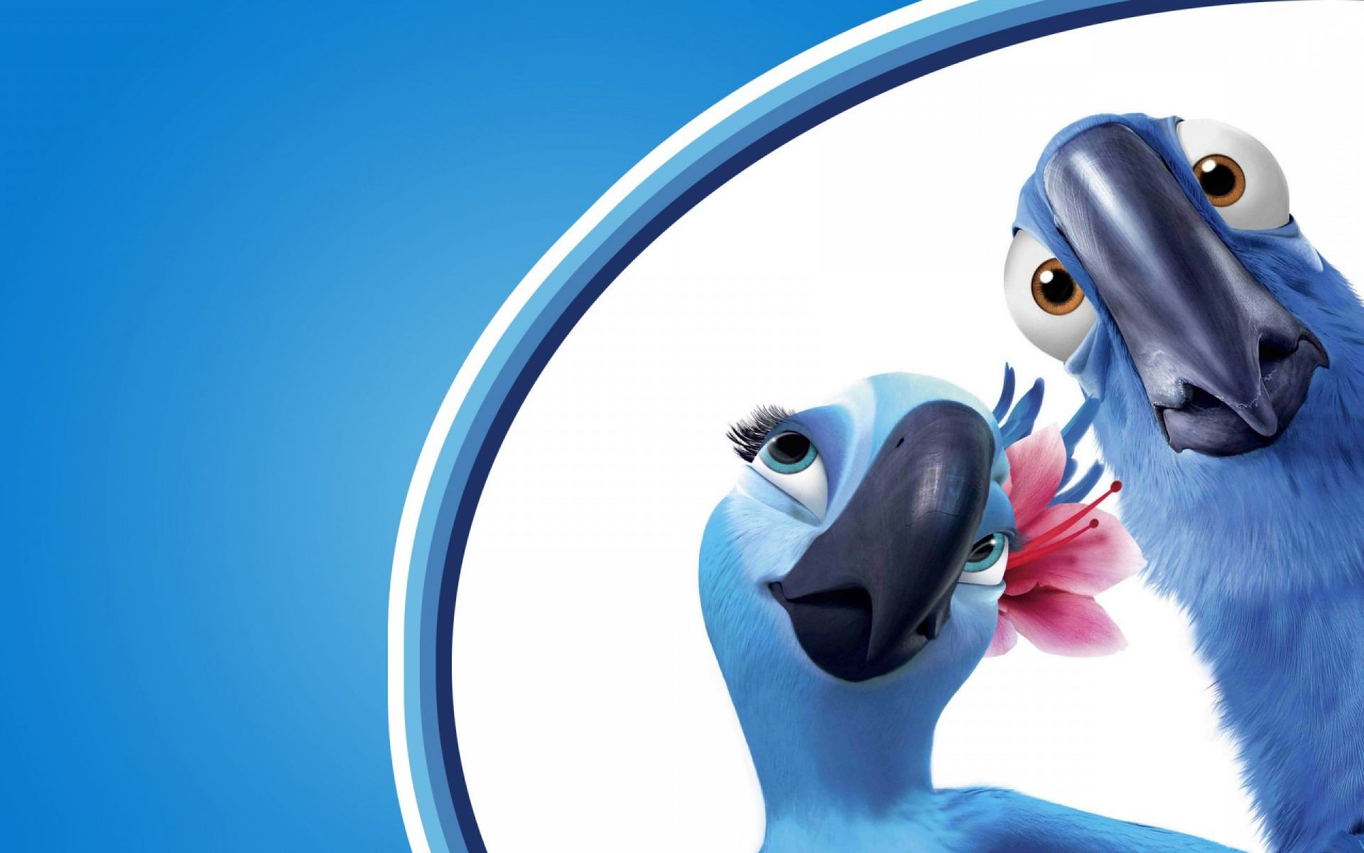 Foreign Cartoons Fun Funny Cute Isolated Animal Child - Рио Де Жанейро Попугаи - HD Wallpaper 