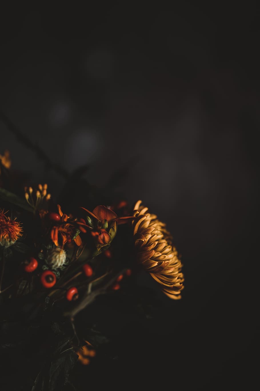 Yellow Petaled Flower, Dark, Flower Arrangement, Bouquet, - Darkness - HD Wallpaper 