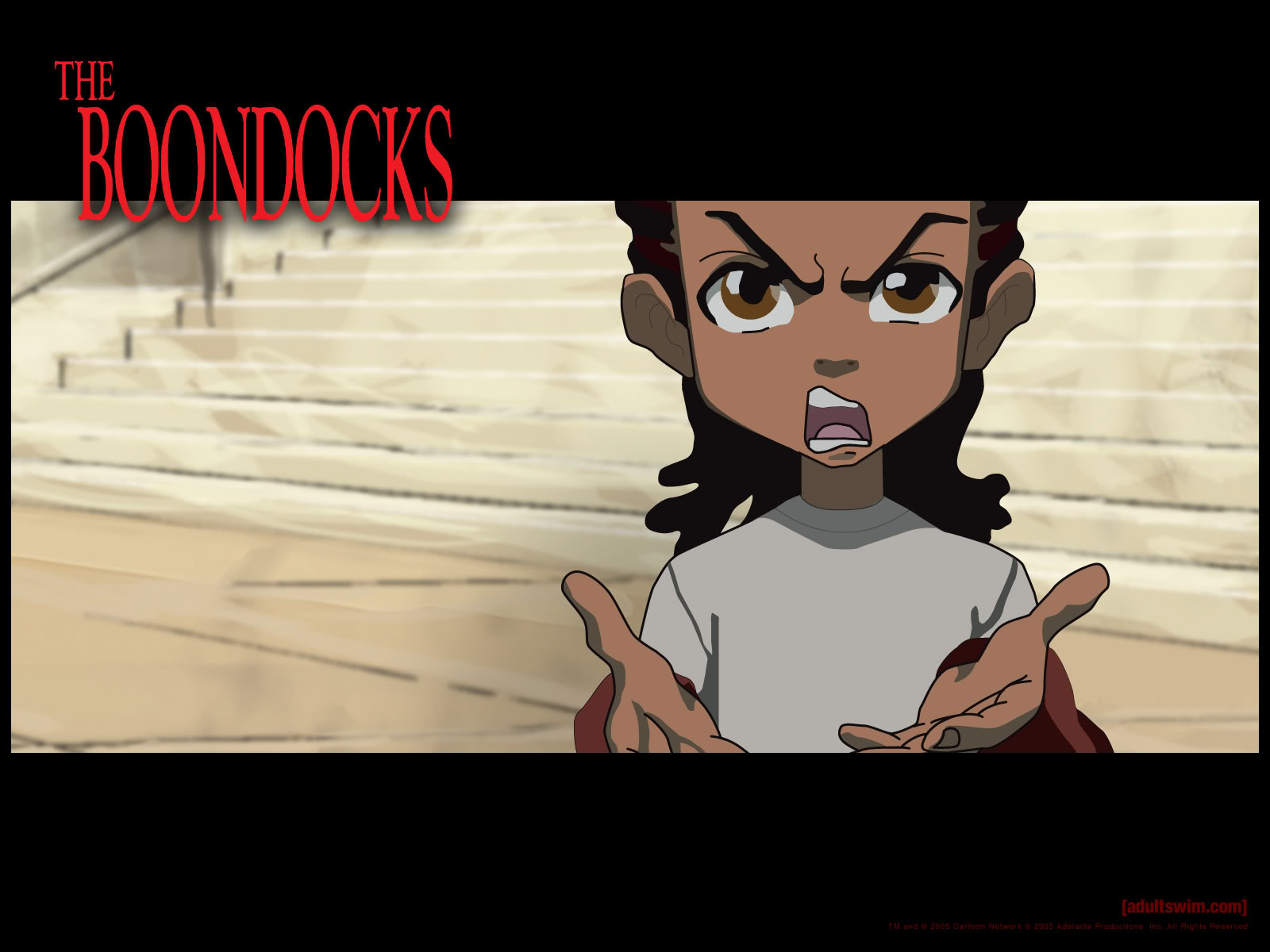 Riley Freeman Image - Boondocks Meme Nigga You Gay - HD Wallpaper 