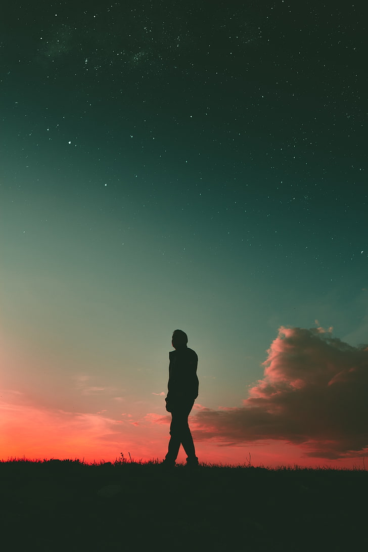 Silhouette Person, Man, Sunset, Sky, Walk, People, - 728x1092 Wallpaper -  