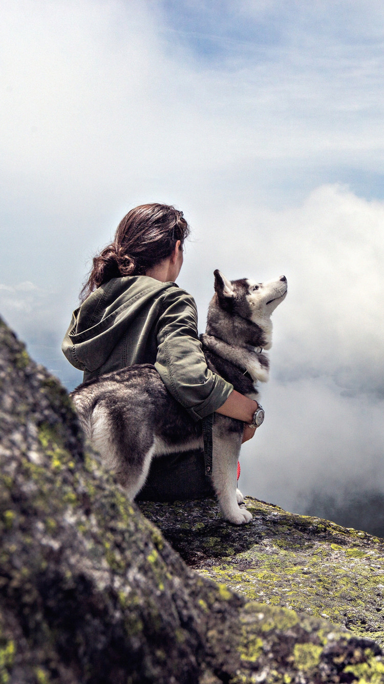 Travel With Dog Quotes - HD Wallpaper 