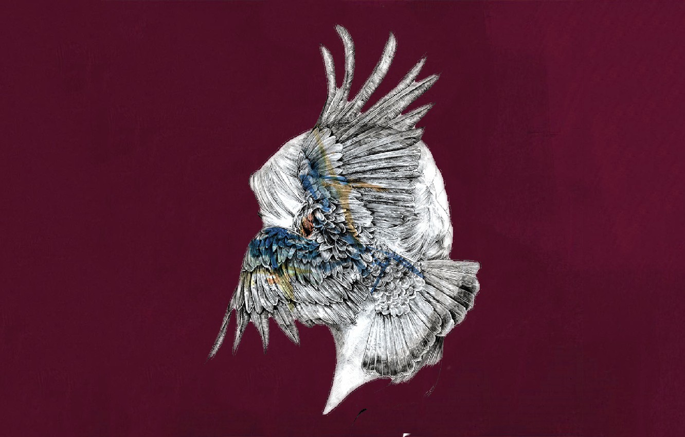 Photo Wallpaper Music, Cover, Monstercat, Tut Tut Child, - Tut Tut Child Fell Down Feat Holly Drummond - HD Wallpaper 