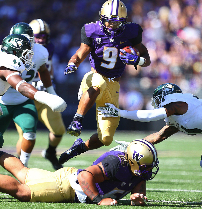 Washington Huskies Myles Gaskin - HD Wallpaper 