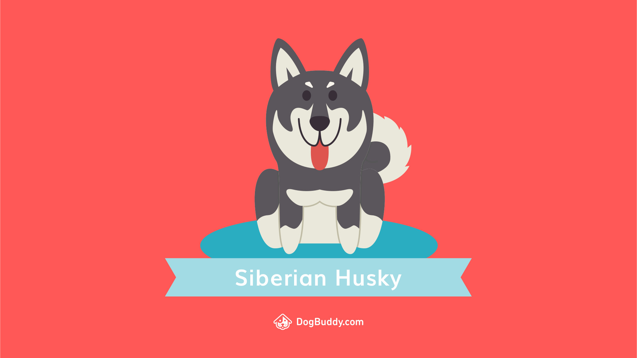 Cute Cartoon Siberian Husky - HD Wallpaper 