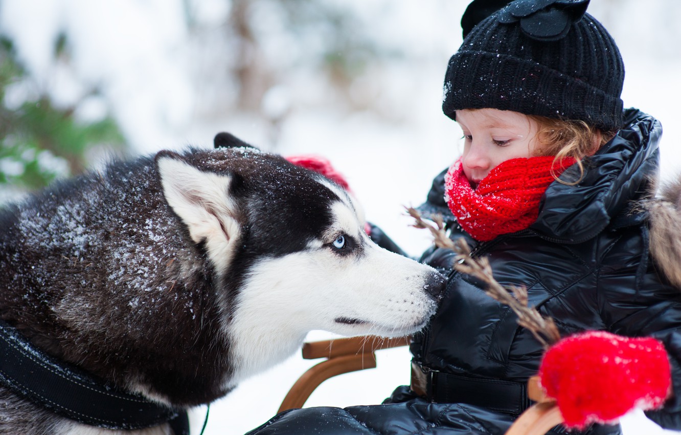 Photo Wallpaper Winter, Dog, Girl, Child, Husky - Маленькие Девочки И Хаски - HD Wallpaper 
