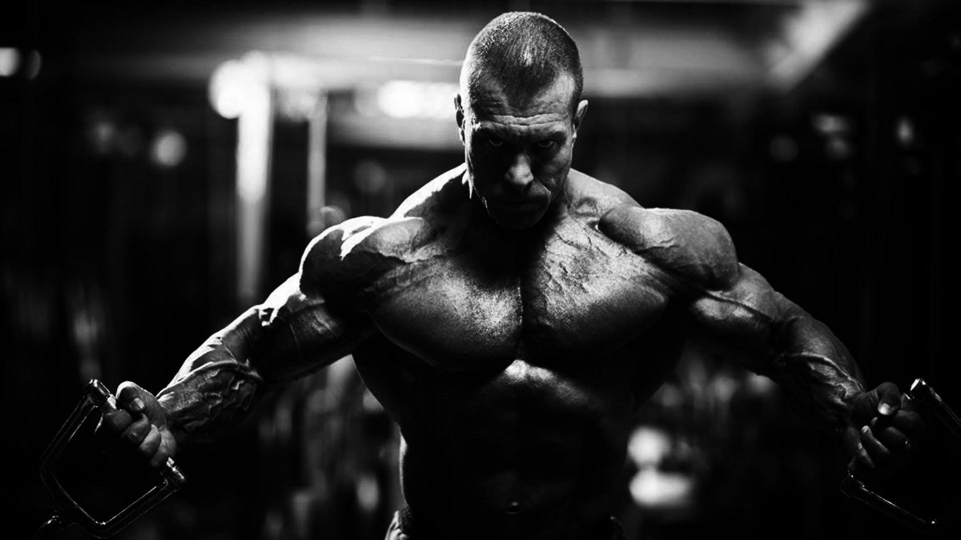 Bodybuilding Hd Wallpapers 1920x1080 - HD Wallpaper 