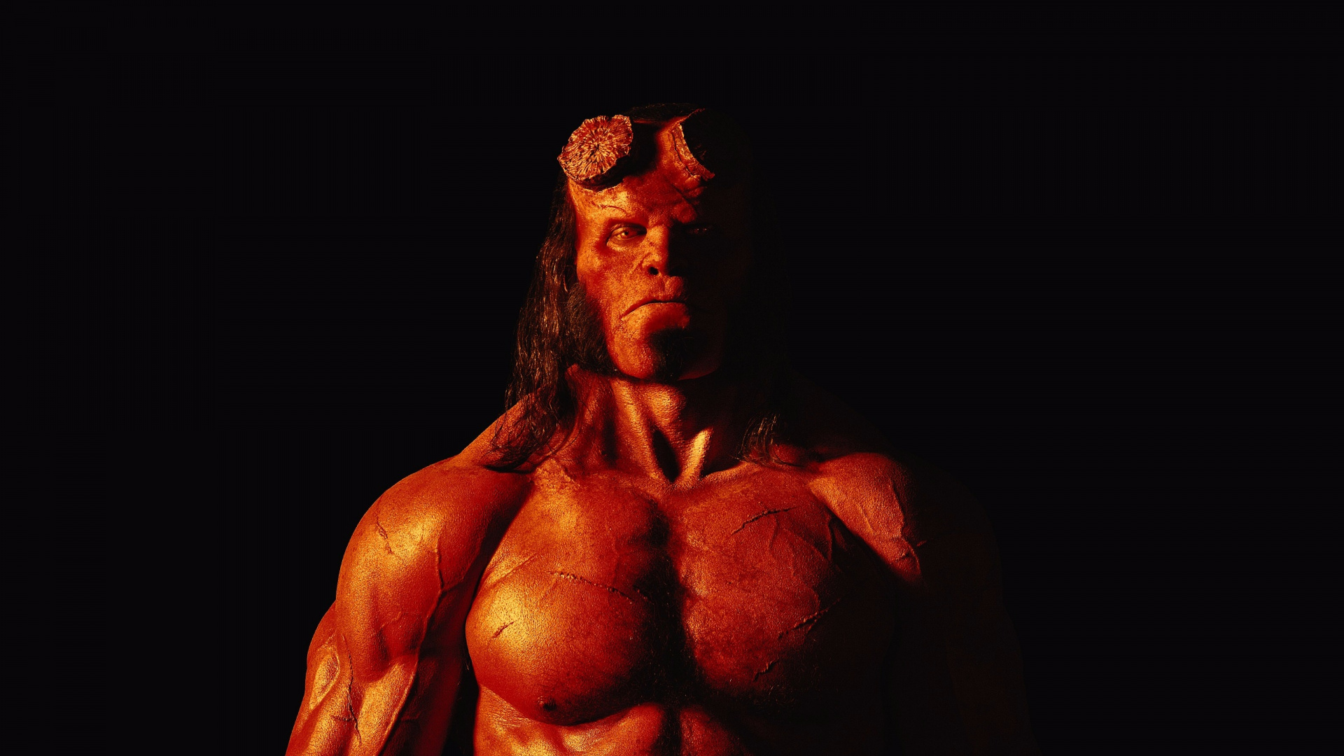 Bodybuilding Hd Wallpapers 1920x1080 - HD Wallpaper 