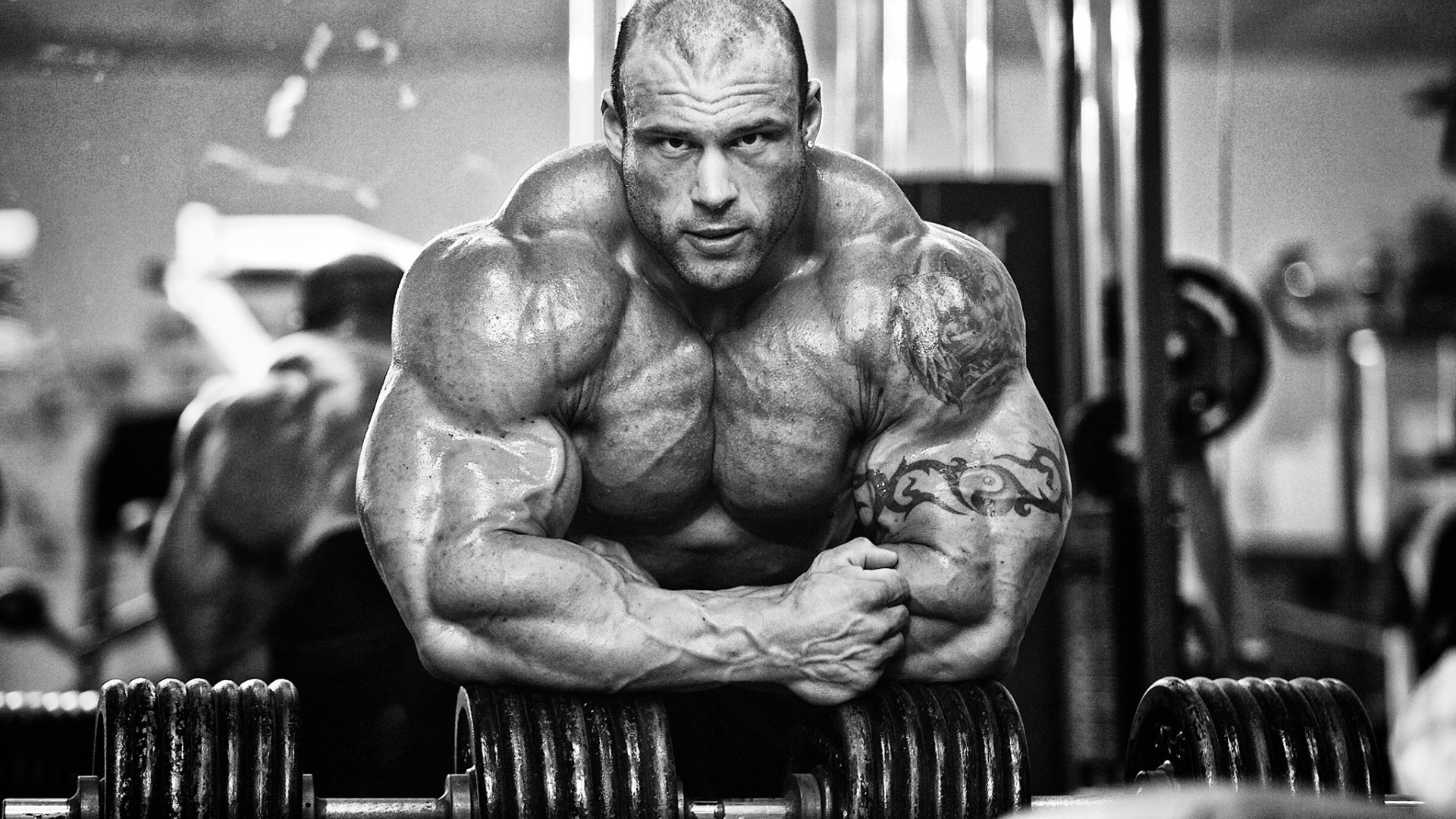 Bodybuilding Wallpaper Hd 2016 - HD Wallpaper 