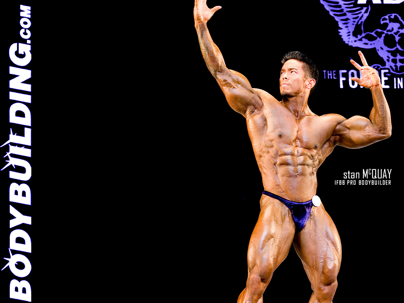 Bodybuildings Hd Wallpapers For Desktop Pictures To - HD Wallpaper 