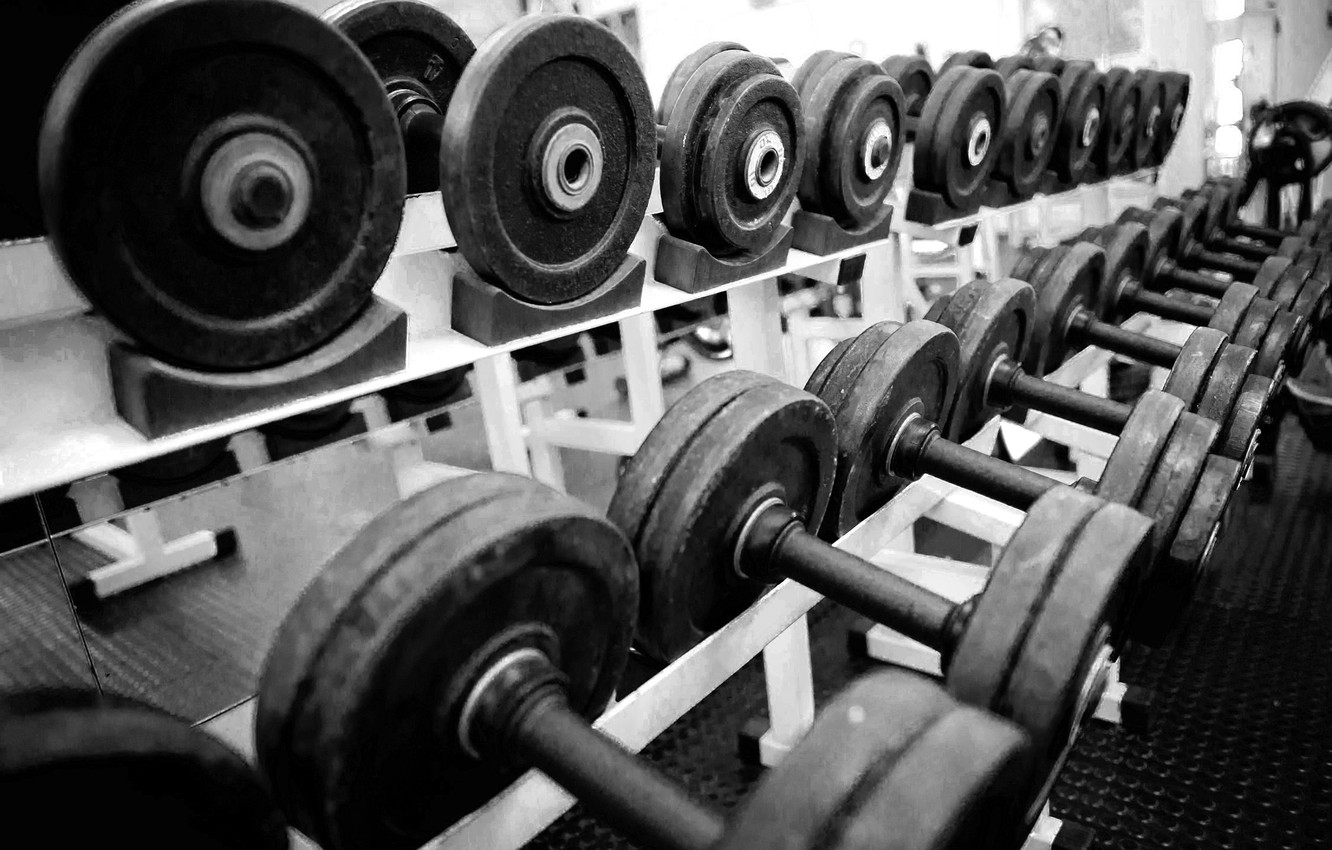Photo Wallpaper Body Building Gym Weight Gym Hd 1332x850 Wallpaper Teahub Io