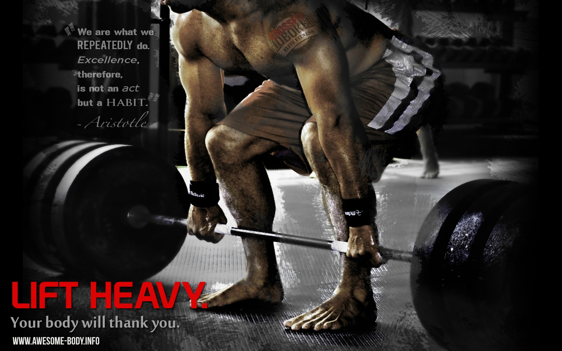 We Are What We Repeatedly Do Fitness - HD Wallpaper 