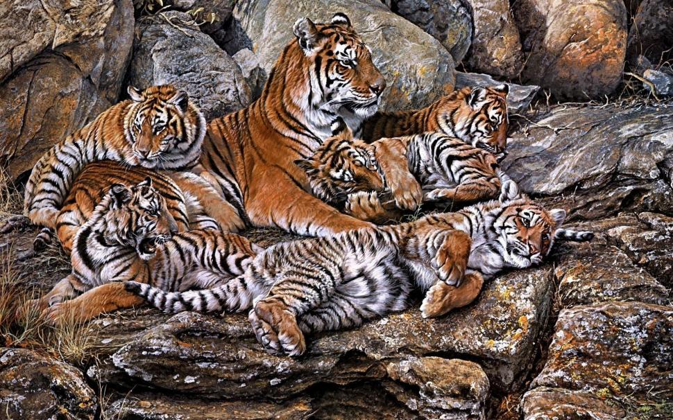Beautiful,tigers Wallpaper,gorgeous Hd Wallpaper,resting - Tiger Group Images Hd - HD Wallpaper 