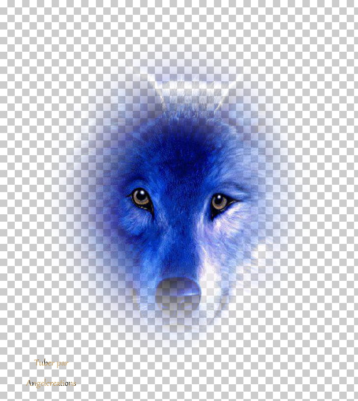 Moon Png For Picsart - HD Wallpaper 