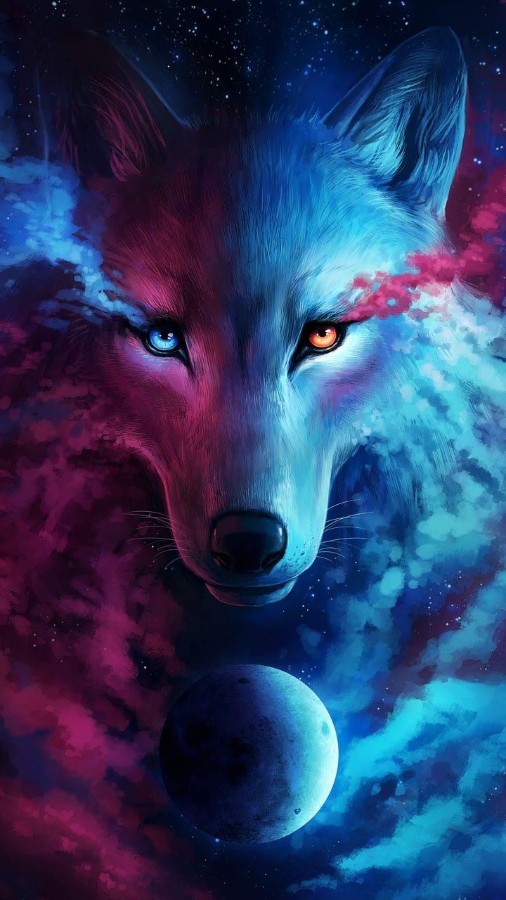 Wallpaper Et Fond D Écran Loup Art Graphique Animal - Wolf Pink And Blue - HD Wallpaper 