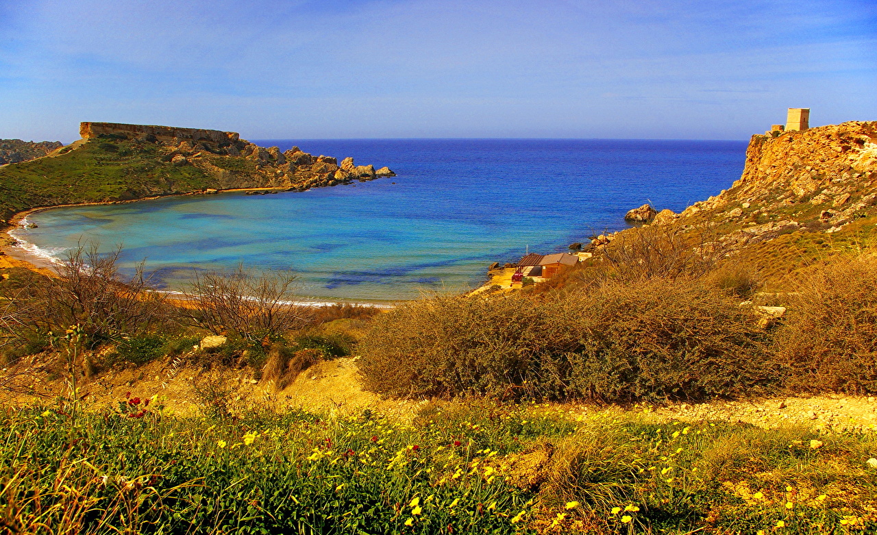 Wallpaper - HD Wallpaper 