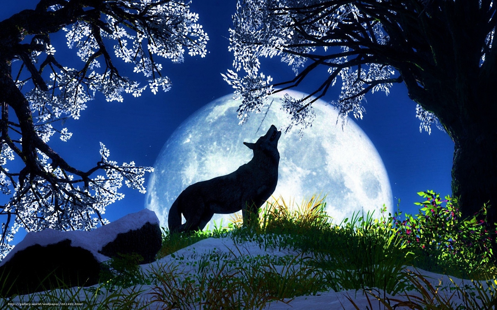 Download Wallpaper Wolf, Moon, Night Free Desktop Wallpaper - HD Wallpaper 