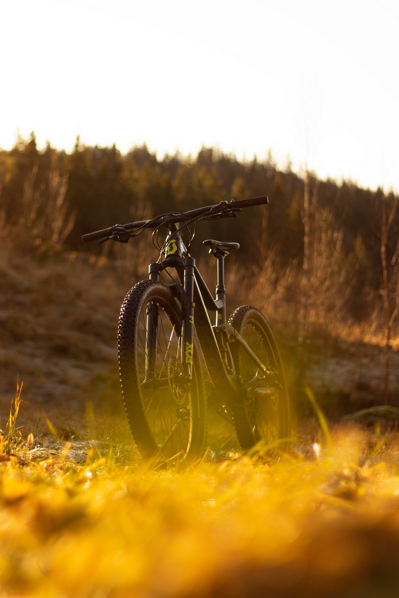 Wallpaper Bike, Mtb, Black, Nature - Mtb Wallpaper For Iphone 8 - HD Wallpaper 