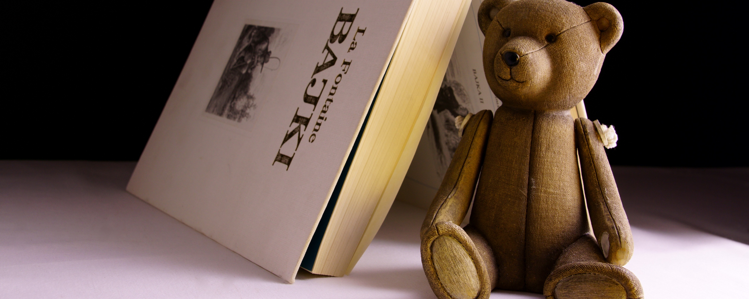 Wallpaper Bear, Toy, Book - Iphone X Teddy Bear - HD Wallpaper 