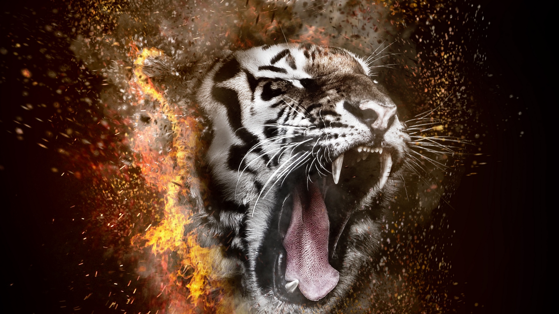 Wallpaper Tiger, Grin, Photoshop, Fire - Tiger Wallpaper Hd - HD Wallpaper 