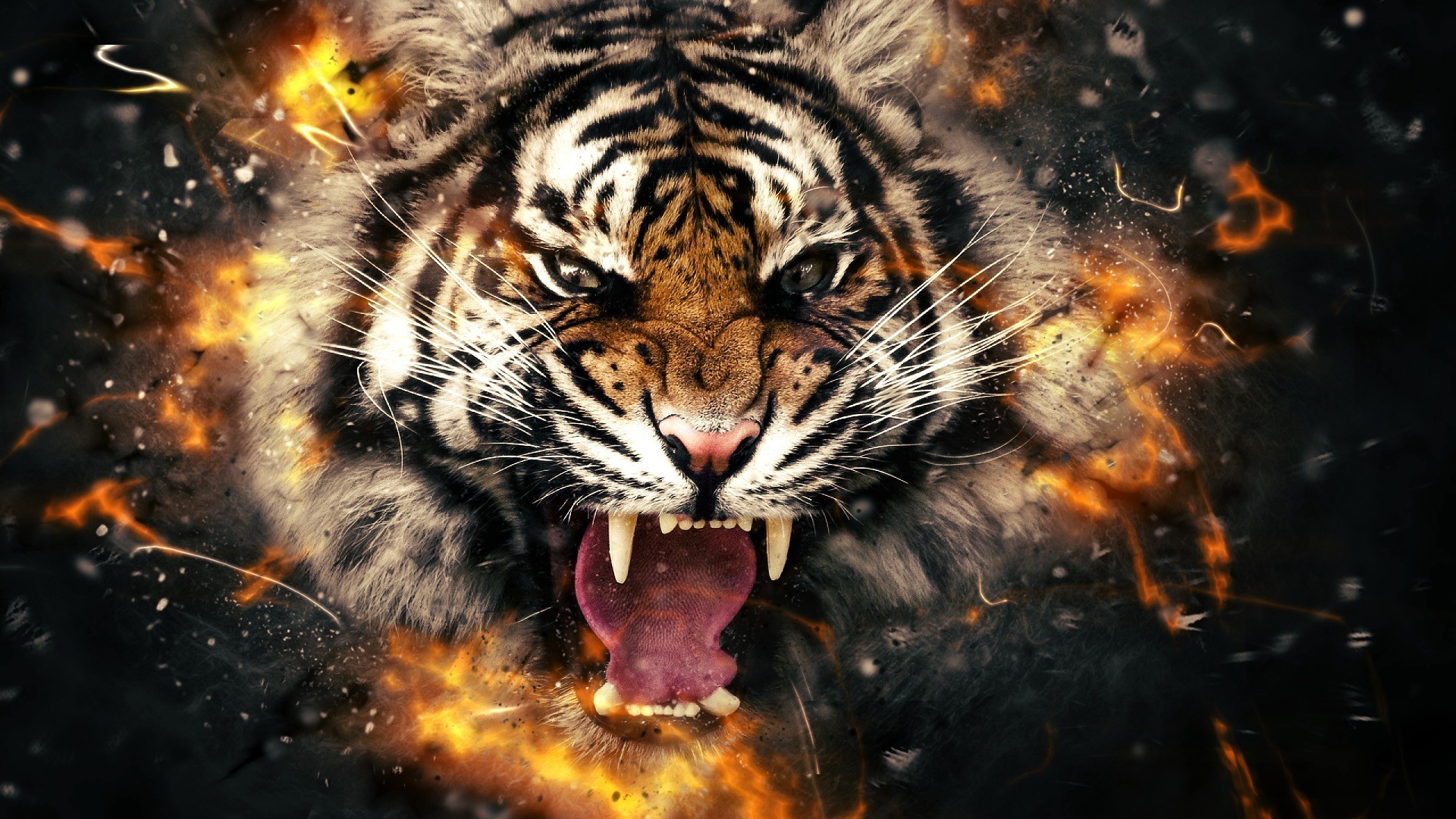Fierce Tiger - HD Wallpaper 