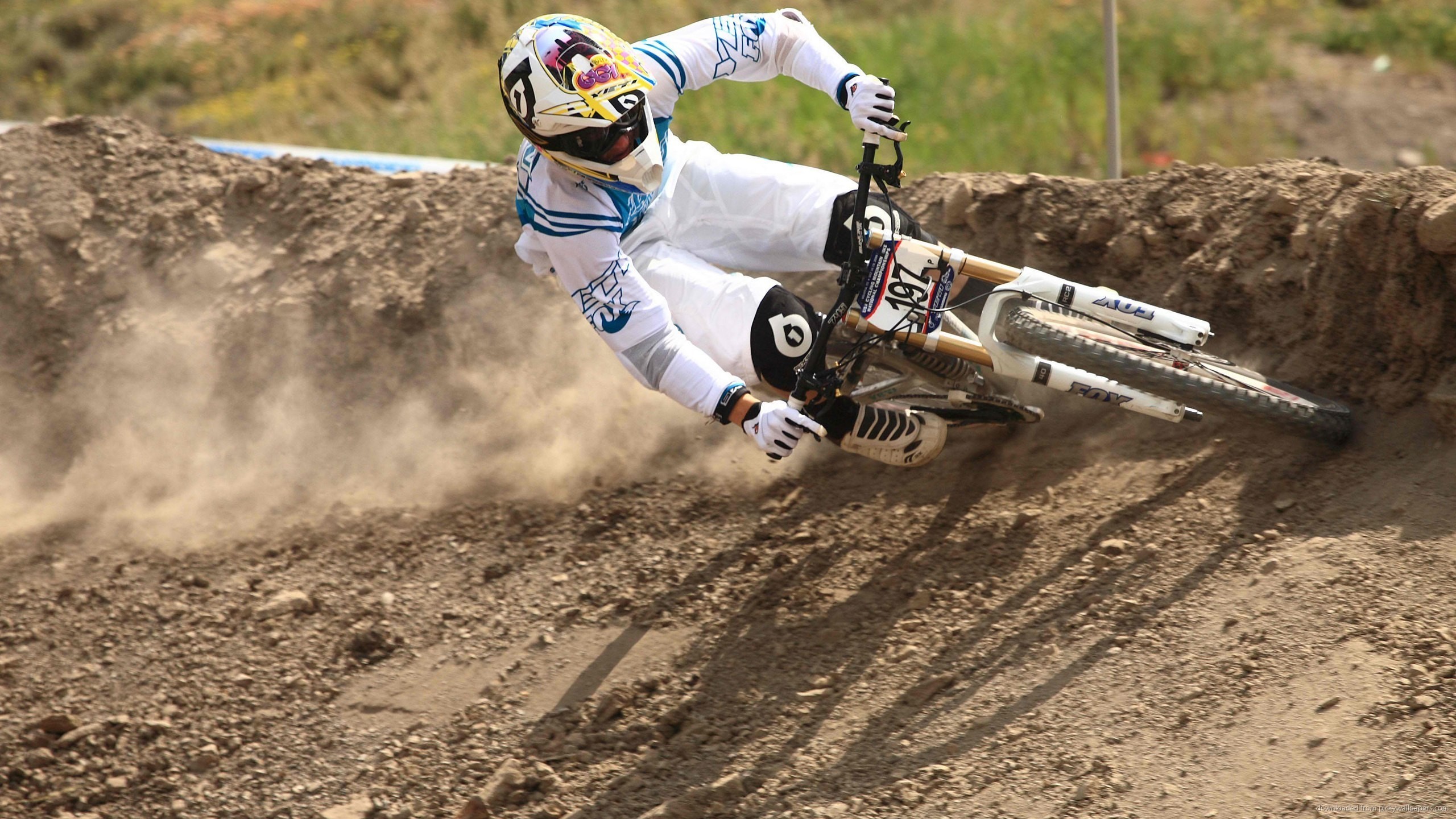 Aaron Gwin - 2560x1440 Wallpaper - teahub.io